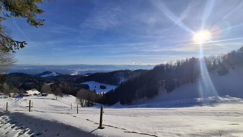 Slika