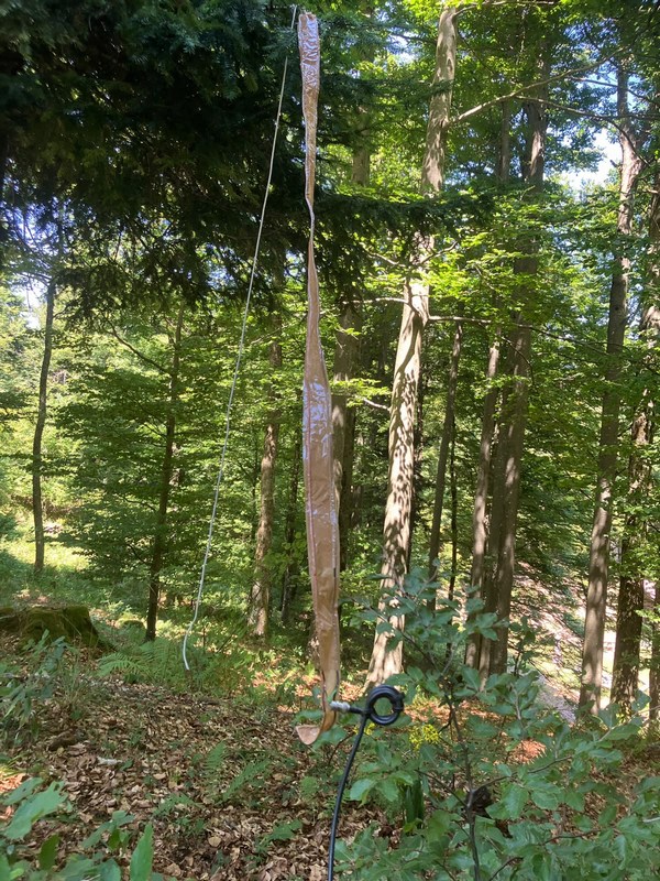 Slika