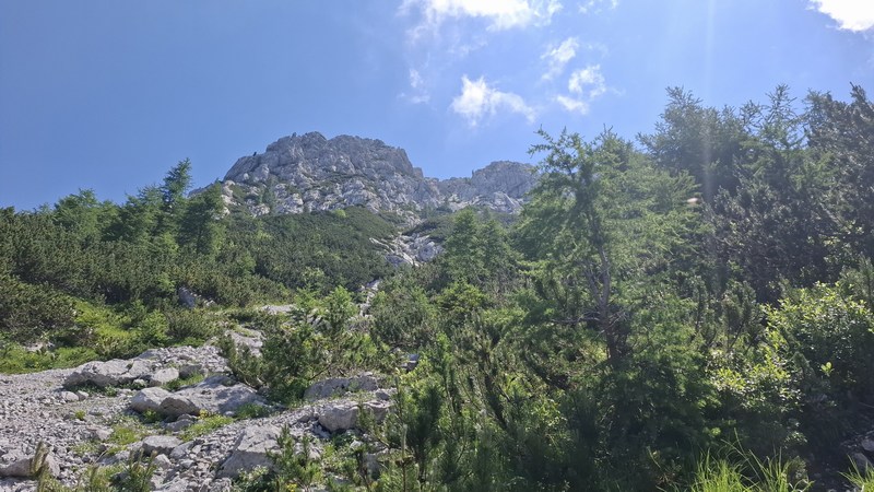 Slika